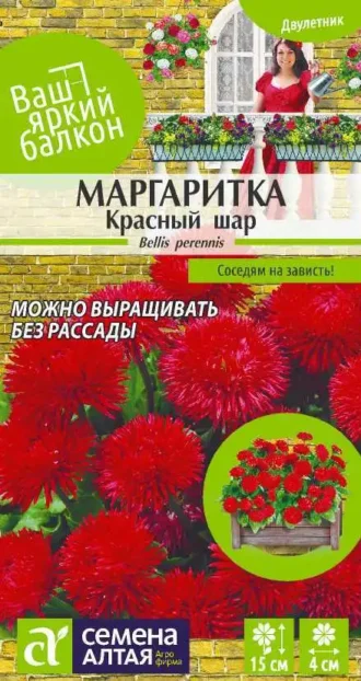 Маргаритка Красный Шар Семена Алтая