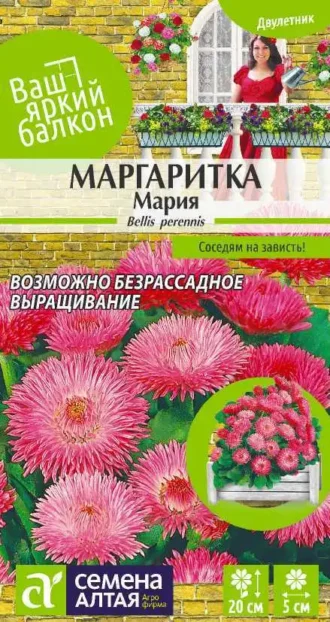 Маргаритка Мария Семена Алтая