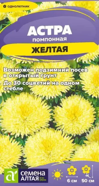 Астра Помпонная Желтая фото