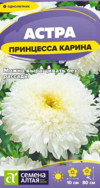 Астра Принцесса Карина фото