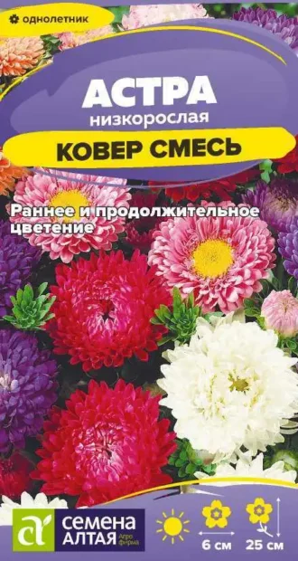 Астра Ковер Смесь фото