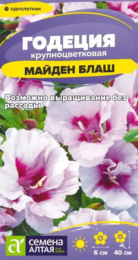 Годеция Майден Блаш фото