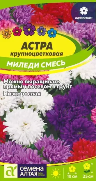 Астра Миледи Смесь Семена Алтая