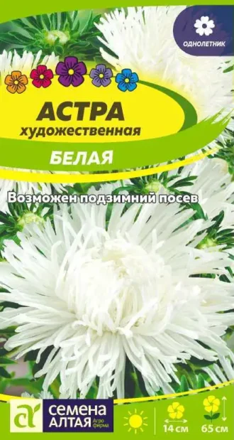 Астра Художественная Белая Семена Алтая