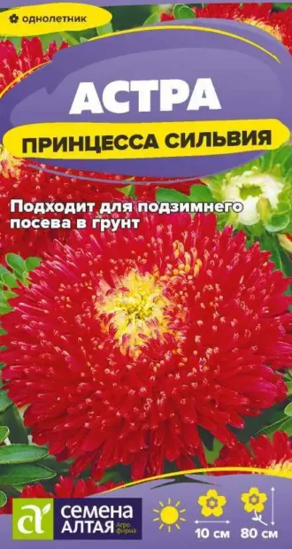 Астра Принцесса Сильвия Семена Алтая