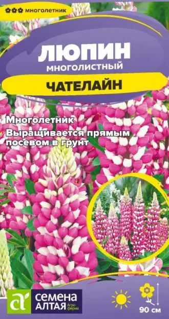 Люпин Чателайн фото