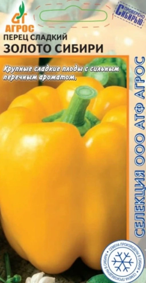 Перец Золото Сибири фото