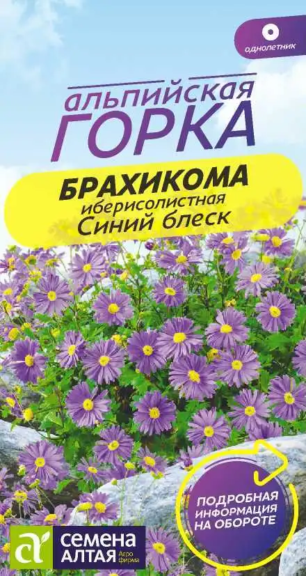 Брахикома Синий Блеск Семена Алтая