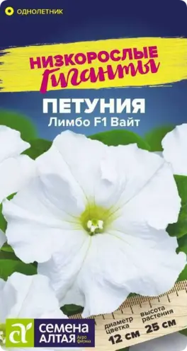 Петуния Лимбо Вайт F1 фото