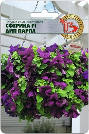 Петуния Сферика Дип Парпл F1 Биотехника