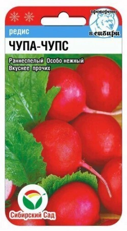Редис Чупа-Чупс Сиб Сад