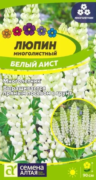 Люпин Белый Аист Семена Алтая
