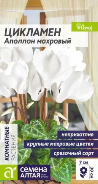 Цикламен Аполлон Махровый Семена Алтая