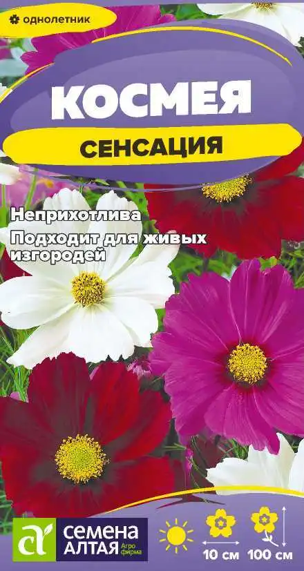 Космея Сенсация фото