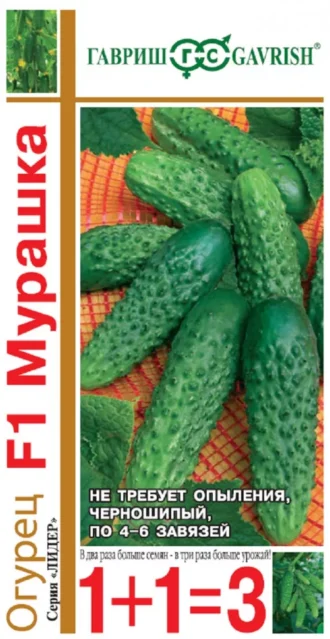 Огурец Мурашка ФОТО