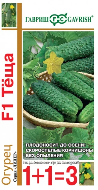 Огурец Теща F1 ФОТО