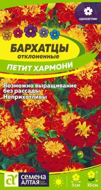 Бархатцы Петит Хармони фото