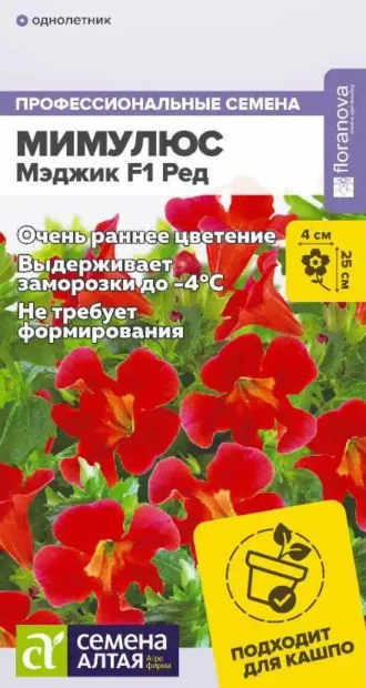 Мимулюс Мэджик Летний Поцелуй фото