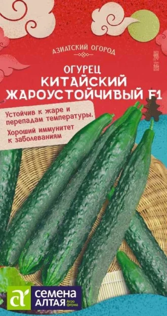 Огурец Китайский Жароустойчивый фото