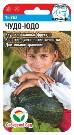 Тыква Чудо-Юдо ФОТО
