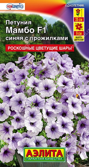 Петуния Мамбо Синяя с Прожилками фото