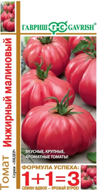 Томат Инжирный Малиновый фото