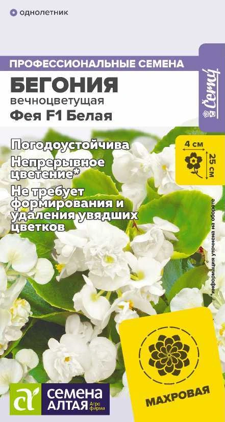 Бегония Вечноцветущая Фея Белая фото