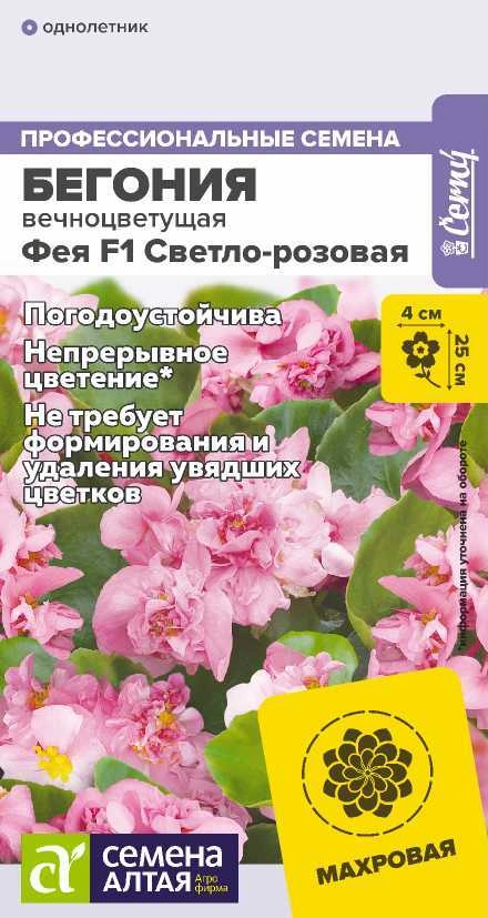 Бегония Вечноцветущая Фея Розовая фото