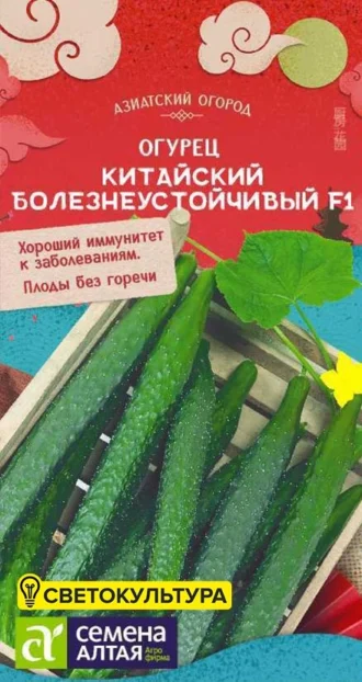 Огурец Китайский Болезнеустойчивый фото