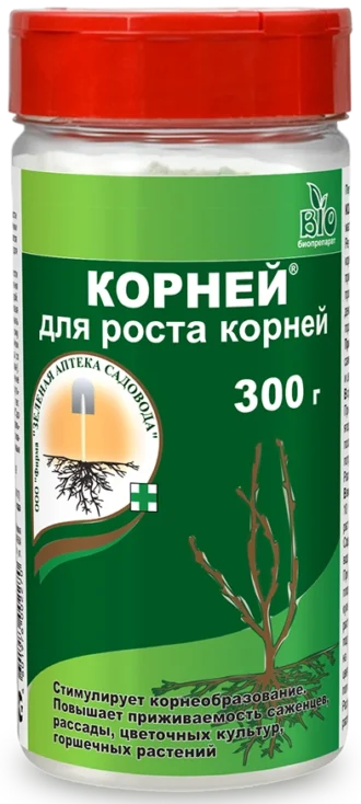 Корней для Роста Корней ФОТО