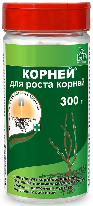 Корней для Роста Корней ФОТО