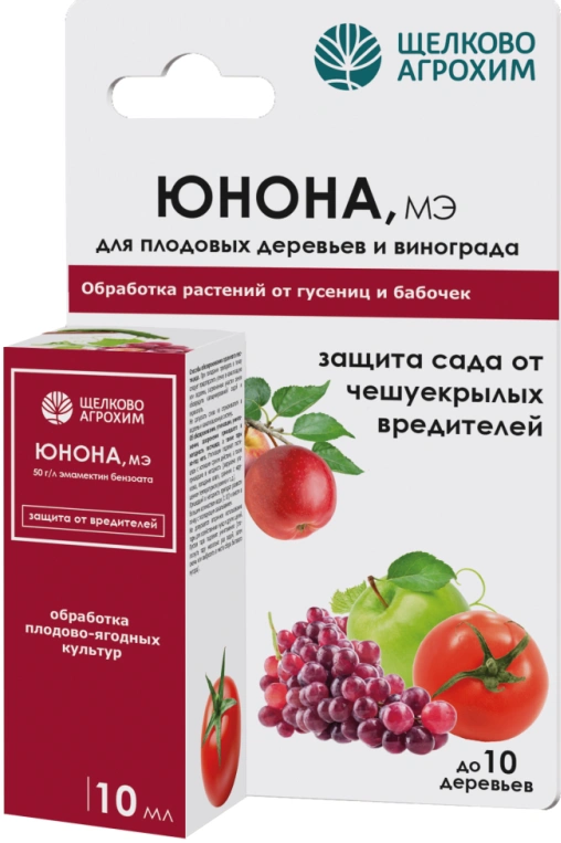 Юнона от Гусениц и Бабочек фото